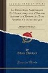 Adam Politzer - La Dissection Anatomique Et Histologique de l'Organe Auditif de l'Homme A l'État Normal Et Pathologique