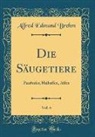 Alfred Edmund Brehm - Die Säugetiere, Vol. 4