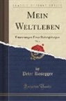 Peter Rosegger - Mein Weltleben, Vol. 2