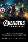Terence Mcsweeney, Terence Mcsweeney - Avengers Assemble!