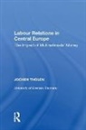 Ludovit Czíria, Eike Hemmer, Wieslawa Kozek, Zdenka Mansfeldová, Jochen Tholen, Jochen Tholen... - Labour Relations in Central Europe