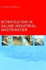 Moussa, Moustafa Samir Moussa, Moustafa Samir (Unesco-Ihe Moussa - Nitrification in Saline Industrial Wastewater