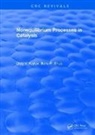 KRYLOV, Oleg V. Krylov, Krylov Oleg V., Boris R. Shub - Nonequilibrium Processes in Catalysis