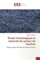 Madeleine Palassia - Étude minéralogique et texturale du secteur de moufrès