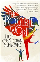 Liese O'Halloran Schwarz, Liese O'Halloran Schwarz - The Possible World