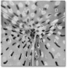 John Divola, Divola John - Vandalism
