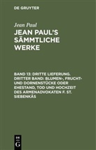 Jean Paul - Jean Paul: Jean Paul's Sämmtliche Werke - Band 13: Dritte Lieferung. Dritter Band: Blumen-, Frucht- und Dornenstücke oder Ehestand, Tod und Hochzeit des Armenadvokaten F. St. Siebenkäs