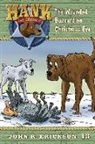 John R. Erickson, Gerald L. Holmes - The Wounded Buzzard on Christmas Eve