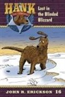 John R. Erickson, Gerald L. Holmes - Lost in the Blinded Blizzard