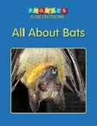 Bibi Boynton - All about Bats