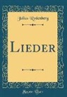 Julius Rodenberg - Lieder (Classic Reprint)
