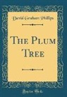 David Graham Phillips - The Plum Tree (Classic Reprint)