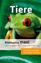 Bodo Pack - Bildimpulse maxi: Tiere