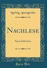 Ludwig Anzengruber - Nachlese