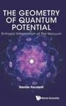 Davide Fiscaletti, Davide Fiscaletti, Fiscaletti Davide - Geometry Of Quantum Potential, The: Entropic Information Of The Vacuum