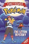 Pokemon, Pokémon - The Litten Mystery