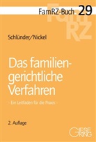 Michael Nickel, Rol Schlünder, Rolf Schlünder - Das familiengerichtliche Verfahren