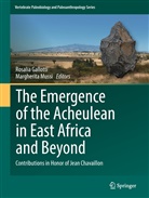 Rosalia Gallotti, Margherit Mussi, Margherita Mussi, Rosali Gallotti, Rosalia Gallotti, Mussi... - The Emergence of the Acheulean in East Africa and Beyond
