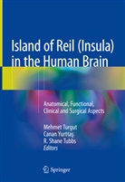 R Shane Tubbs, R. Shane Tubbs, Mehmet Turgut, Canan Yurtta¿, Cana Yurttas, Canan Yurttas... - Island of Reil (Insula) in the Human Brain