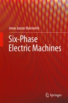 Jonas Juozas Buksnaitis - Six-Phase Electric Machines
