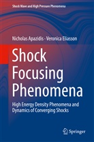 Nichola Apazidis, Nicholas Apazidis, Veronica Eliasson - Shock Focusing Phenomena
