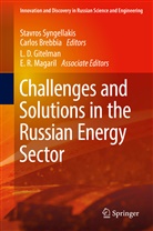 BREBBIA, Brebbia, Carlos Brebbia, Stavro Syngellakis, Stavros Syngellakis - Challenges and Solutions in the Russian Energy Sector