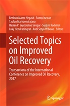 Luky Hendraningrat, Sonn Irawan, Sonny Irawan, Taufan Marhaendrajana, Taufan Marhaendrajana et al, Berihun Mamo Negash... - Selected Topics on Improved Oil Recovery