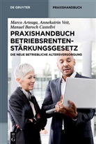 Marc Arteaga, Marco Arteaga, Baroch Castellvi, Manuel Baroch Castellvi, Annekatri Veit, Annekatrin Veit - Praxishandbuch Betriebsrentenstärkungsgesetz