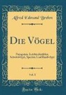 Alfred Edmund Brehm - Die Vögel, Vol. 1