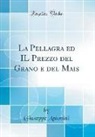 Giuseppe Antonini - La Pellagra Ed Il Prezzo del Grano E del Mais (Classic Reprint)
