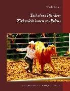 Nicola Steiner - Tod eines Pferdes: Zirkuslektionen im Fokus