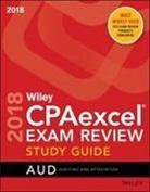 Wiley - Wiley Cpaexcel Exam Review 2018 Study Guide