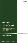Dr Jaco (North Western University Gericke, Jaco Gericke, Jaco (North Western University Gericke - What is a God?