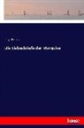Lily Braun - Die Liebesbriefe der Marquise