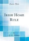 S. G. Hobson - Irish Home Rule (Classic Reprint)