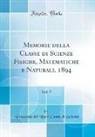 Accademia dei Lincei Classe di Scienze - Memorie della Classe di Scienze Fisiche, Matematiche e Naturali, 1894, Vol. 7 (Classic Reprint)