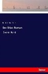 Friedrich Gerstäcker - Der Erbe: Roman