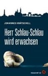 Johannes Krätschell - Herr Schlau-Schlau wird erwachsen, m. Audio-CD
