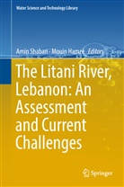 Hamzé, Hamzé, Mouin Hamzé, Ami Shaban, Amin Shaban - The Litani River, Lebanon: An Assessment and Current Challenges