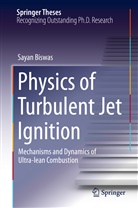 Sayan Biswas - Physics of Turbulent Jet Ignition