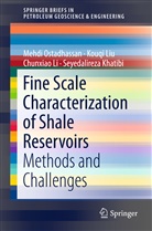 Seyedalireza Khatibi, Chunxiao Li, Chunxiao et al Li, Kouq Liu, Kouqi Liu, Mehd Ostadhassan... - Fine Scale Characterization of Shale Reservoirs