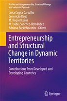 Luísa Carvalho, Luísa Cagica Carvalho, M. Raquel Lucas, M.Raquel Lucas, Raquel Lucas, Adriana Noronha... - Entrepreneurship and Structural Change in Dynamic Territories