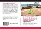 Glend Dávila, Glendy Dávila, Lugo, Claudio Lugo, Pedro Jos Rodríguez-Sulbarán, Pedro José Rodríguez-Sulbarán - Síntesis de Biodiesel empleando Aceite de Tártago (Ricinus Communis)