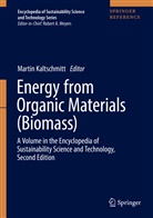 Martin Kaltschmitt, Marti Kaltschmitt, Martin Kaltschmitt - Energy from Organic Materials (Biomass), 2 Teile