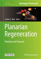 Joche C Rink, Jochen C Rink, Jochen Rink, Jochen C. Rink - Planarian Regeneration