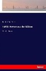 Friedrich Gerstäcker - Tahiti: Roman aus der Südsee