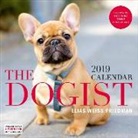 Elias Weiss Friedman - The Dogist 2019