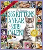 Workman Publishing - The 365 Kittens-A-Year 2019