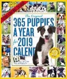Workman Publishing - The 365 Puppies-A-Year 2019
