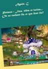 Agnès .C, Agnès C - Poèmes : Fées, elfes et lutins...Où se cachent-ils et que font-ils?